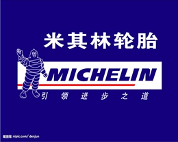  Michelin tire