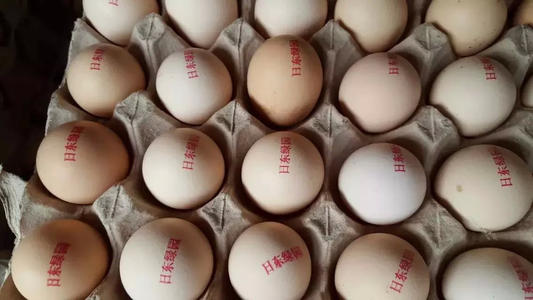  Laser inkjet printer helps farmers create their own egg brand